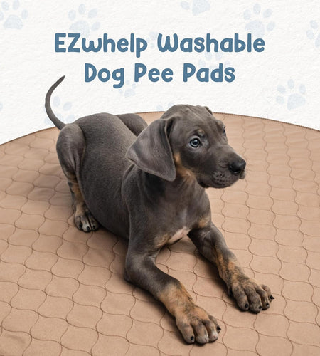 Washable Pee Pads for Dogs - Waterproof and Reusable Training Floor Pads, Whelping Dog Pee Pads, Absorbent Dog Training Bed, Puppy Training Pads Supplies, Absorbent Pet Pen Floor Pad, 48-In