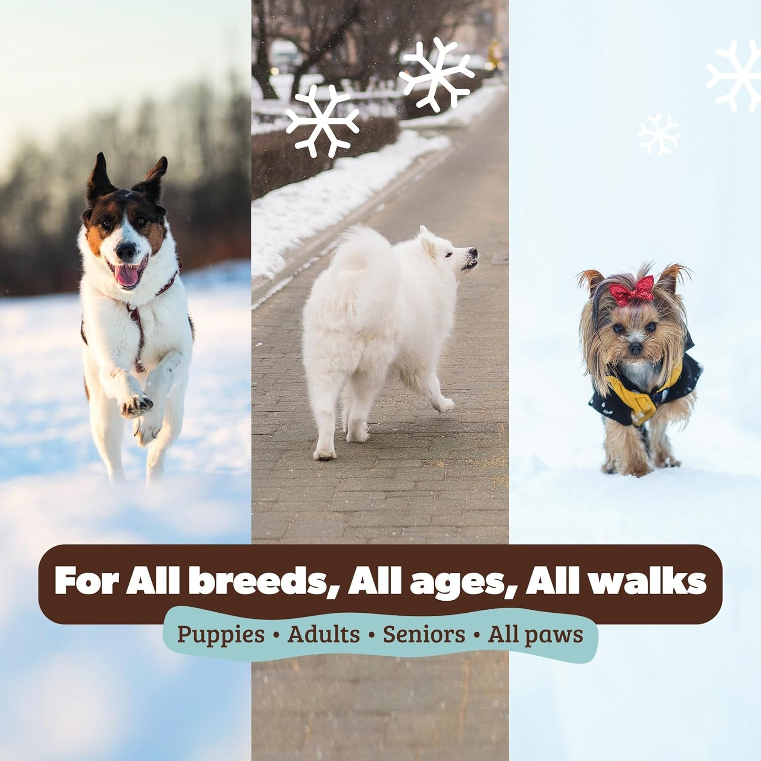Pawtection Dog Paw Balm, Protects Paws from Hot Surfaces, Sand, Salt, & Snow, Organic, All Natural Ingredients